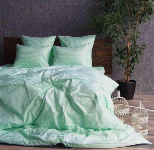Stripe LUX LIGHT MINT 1/1см