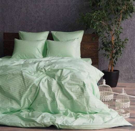 Stripe LUX SOFT MINT 1/1см